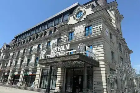 Vis Palm - 6