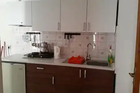 Delphin Side - 55