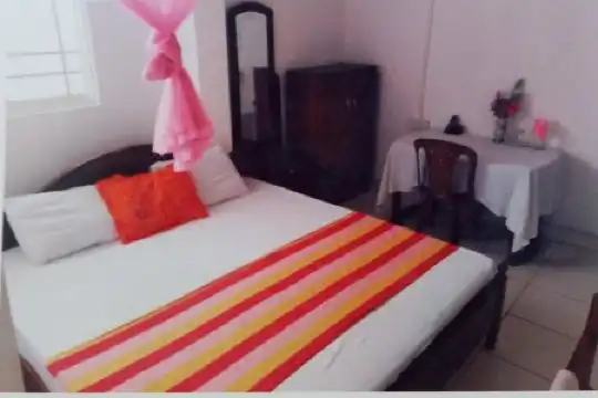 Chanro Surf Dream - 12