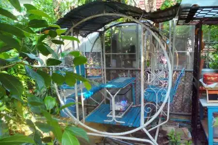 Young and Beautiful - 7