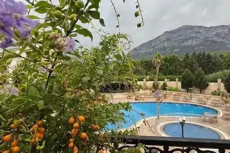 Elamir Resort - 38