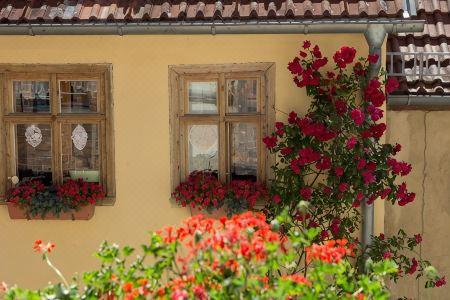 Up-Hus-Idyll - 9