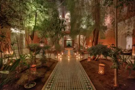 Riad Kaiss By Anika - 1