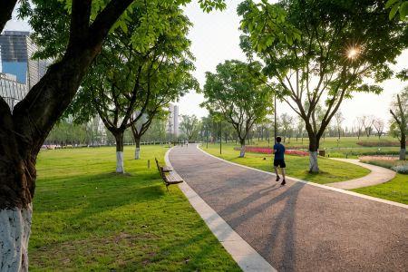 Holiday Inn Chengdu Century City - East, An Ihg - 8