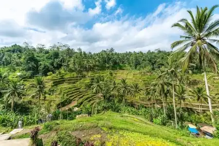 The Kanjeng Resort Ubud - 7