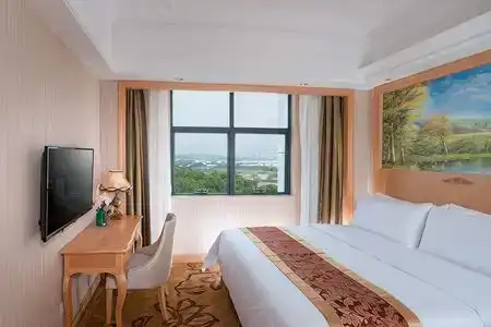 Vienna (Shenzhen Lilang Wanguocheng) - 5