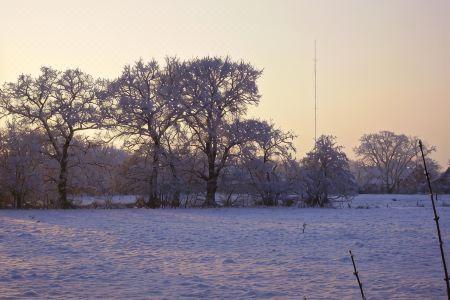 Waldquelle - 7