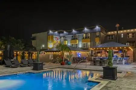 Hollander - Downtown St. Petersburg - 3