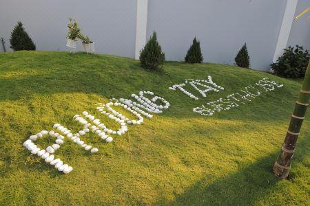 Phuong Tay - 7