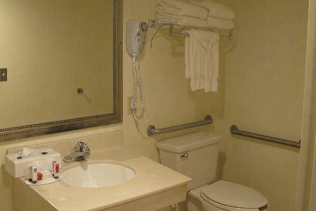 Ramada Plaza Resort & Suites By Wyndham Orlando International Drive - 104