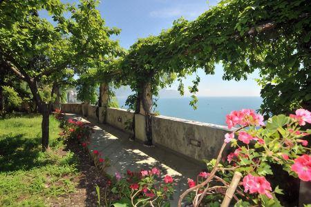 Belvedere - 2