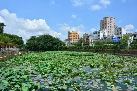 Dongguan Chang An - 9
