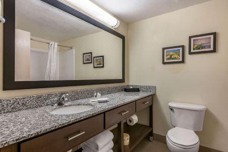 Comfort Suites Maingate East - 51