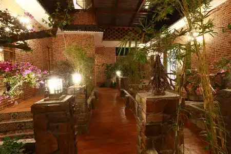 Banyan - 51