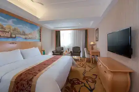 Vienna (Shenzhen Lilang Wanguocheng) - 6