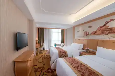 Vienna (Shenzhen Lilang Wanguocheng) - 27