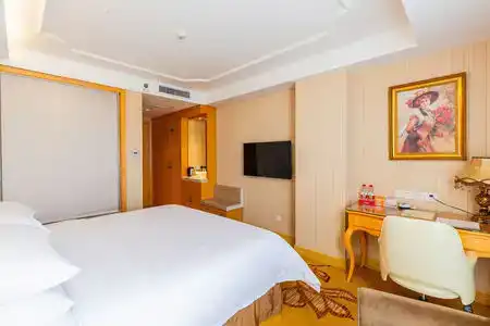 Vienna (Shenzhen Lilang Wanguocheng) - 19