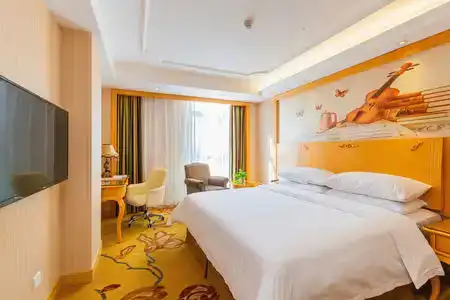 Vienna (Shenzhen Lilang Wanguocheng) - 18