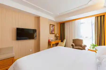 Vienna (Shenzhen Lilang Wanguocheng) - 21