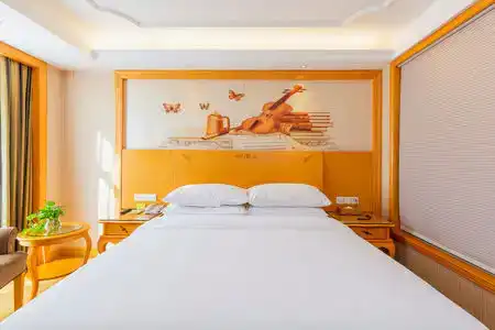 Vienna (Shenzhen Lilang Wanguocheng) - 23