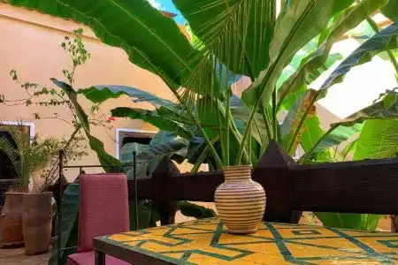 Riad Bamileke - 2