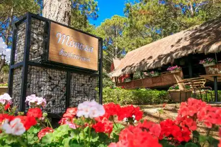 Ngọc Long Đà Lạt - 3