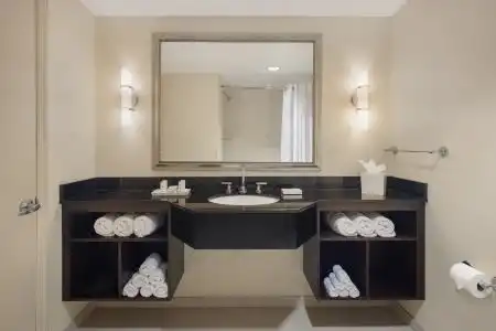 Ramada Plaza Resort & Suites By Wyndham Orlando International Drive - 52