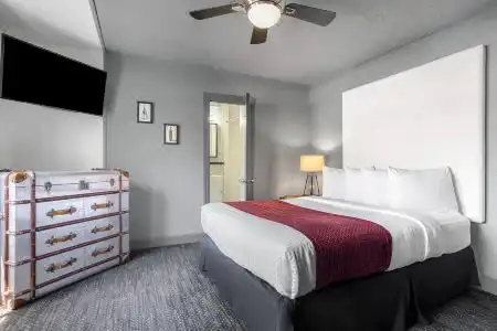 Hollander - Downtown St. Petersburg - 9