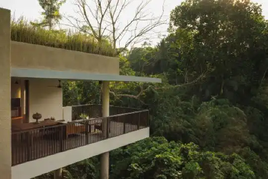 Alila Ubud - 91