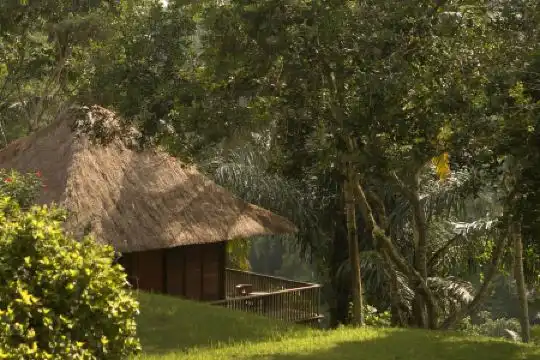 Alila Ubud - 12
