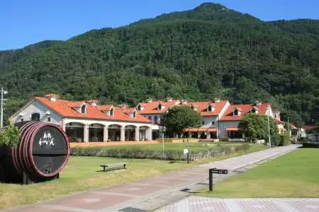Toyoko Inn Izumo-shi Ekimae - 6