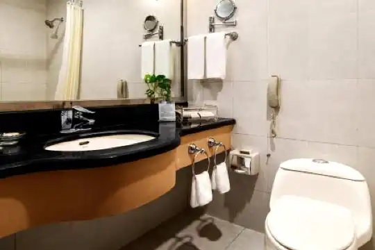 Sunshine Continental Grand - 14