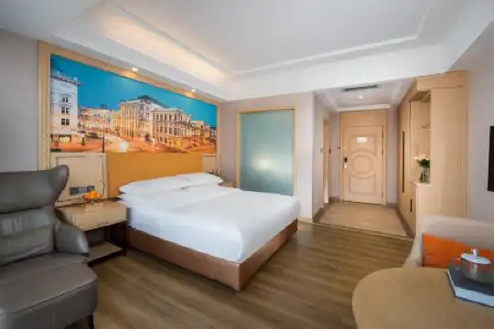 Vienna International (Shenzhen Songgang Hongxing) - 18