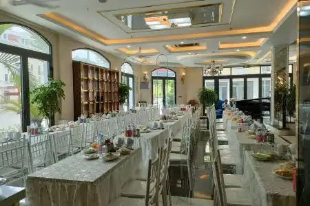 Halong Lavender - 5