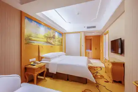 Vienna (Shenzhen Lilang Wanguocheng) - 47