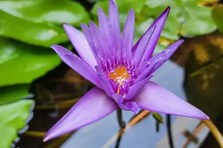 Athita The Hidden Court Chiang Saen Boutique Sha Plus Certified - 78