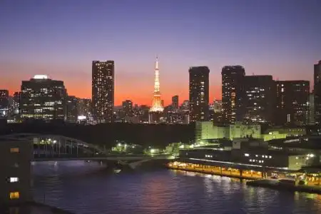 Toyoko Inn Tokyo Tozai-sen Nishi-kasai - 3