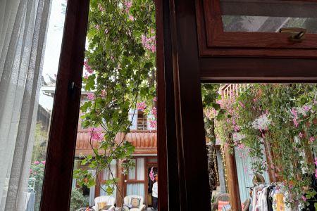 Butterfly Inn - 53