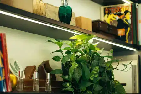 Horti 14 Borgo Trastevere - 7