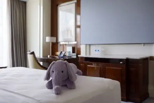 Sheraton Grand Wuhan Hankou - 109