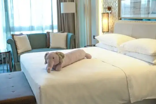 Sheraton Grand Wuhan Hankou - 108