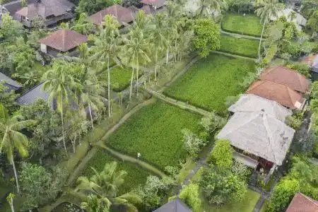 Ananda Ubud Resort - 0