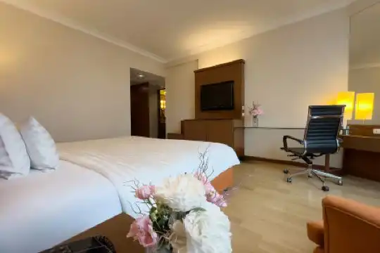 Rembrandt And Suites Sha Plus Certified - 19