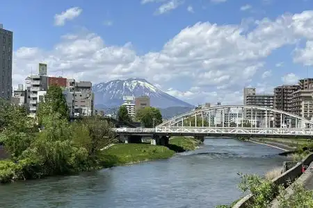 Toyoko Inn Morioka Ekimae - 1