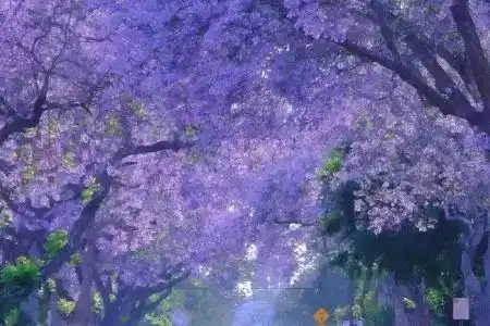Howard Johnson Flower City Kunming - 3