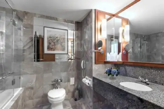 Rembrandt And Suites Sha Plus Certified - 69