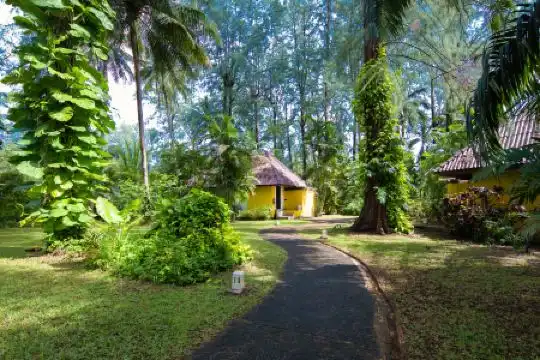 Haadson Resort - Khaolak, Phangnga - 53