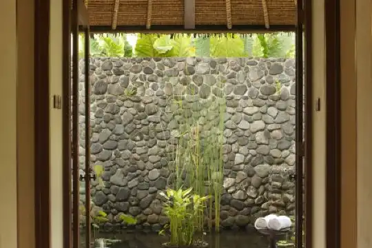 Alila Ubud - 28