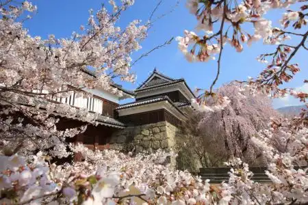 Toyoko Inn Ueda Ekimae - 1