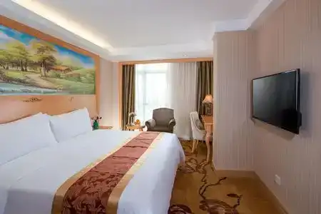 Vienna (Shenzhen Lilang Wanguocheng) - 16